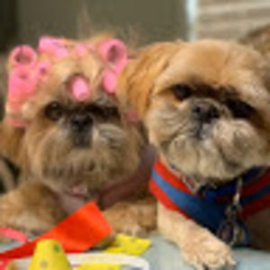 Meet your Posher, Kimberle